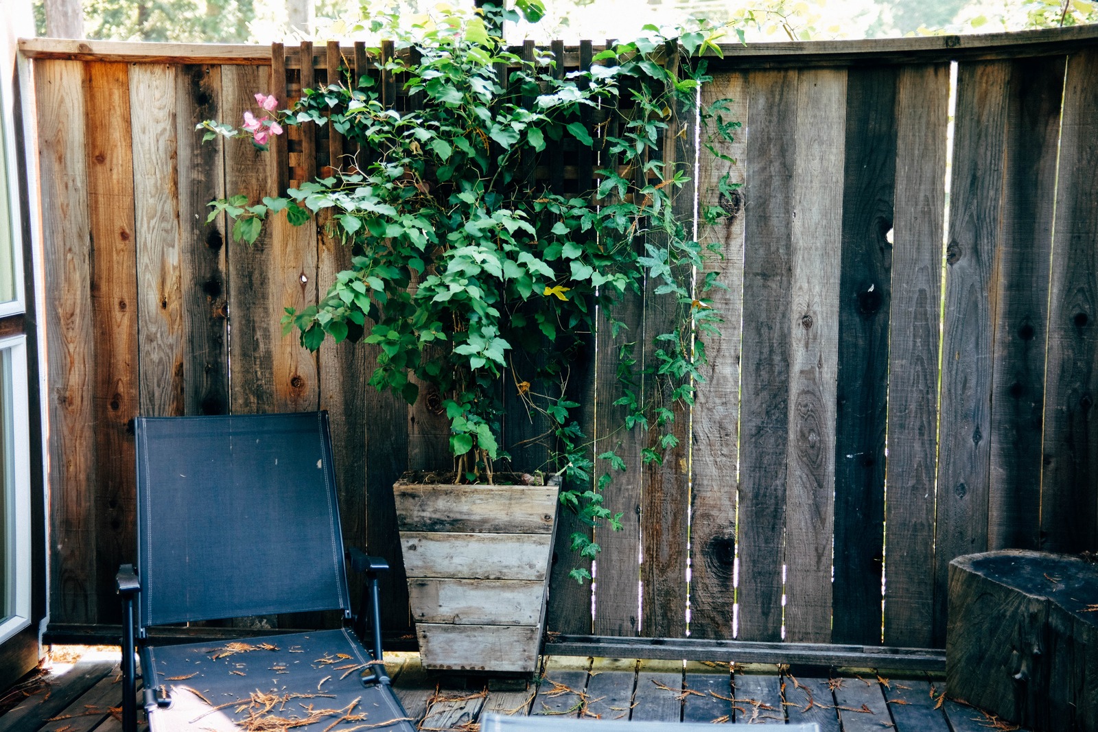 A Quiet Corner of Nature