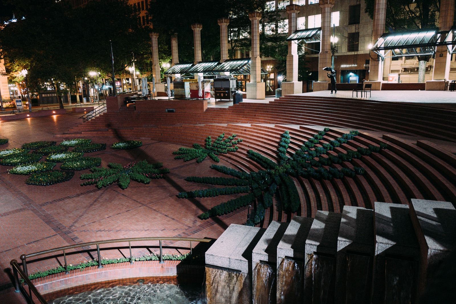 Urban Oasis at Night