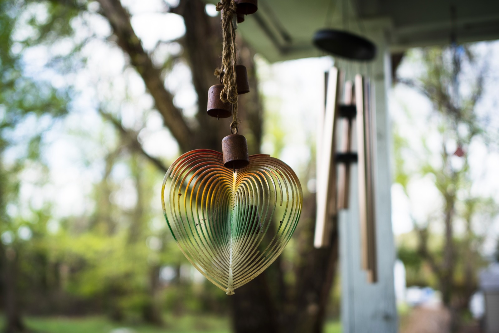 Whimsical Heart in Nature