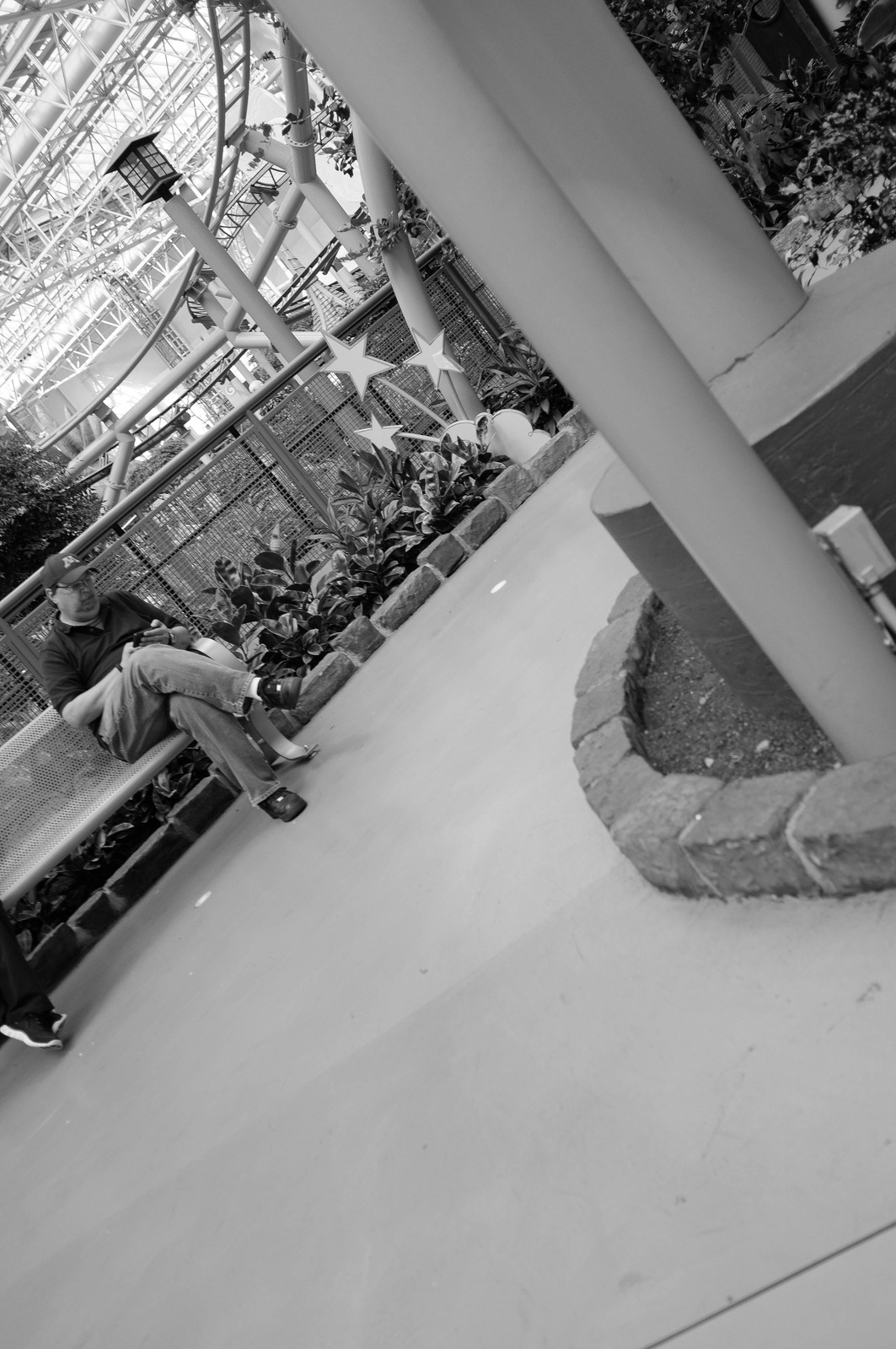 Contemplative Solitude