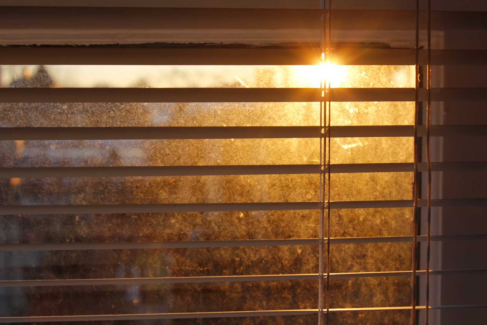 Morning Light Through Blinds