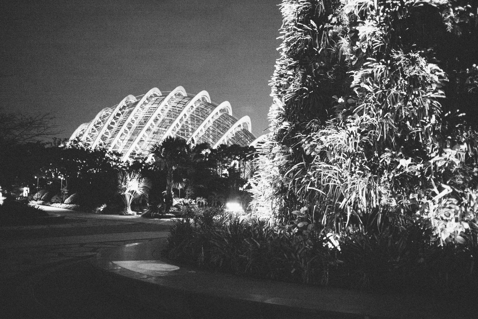 Night Garden Serenity