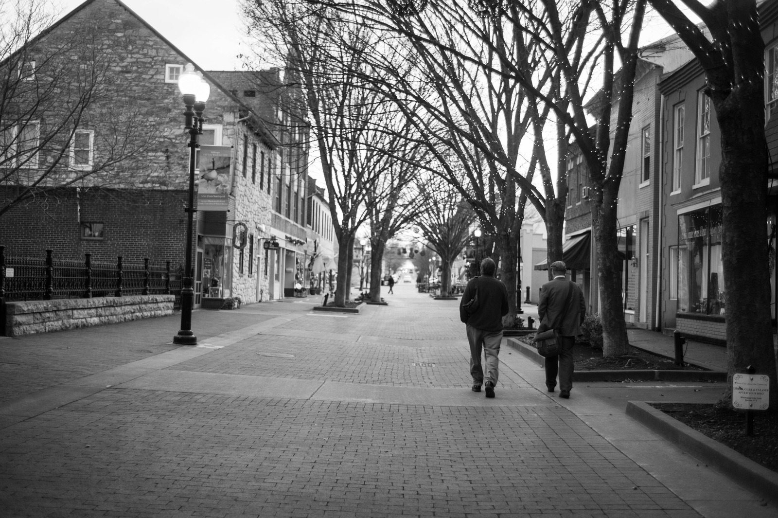 Quiet Stroll Through Shadows