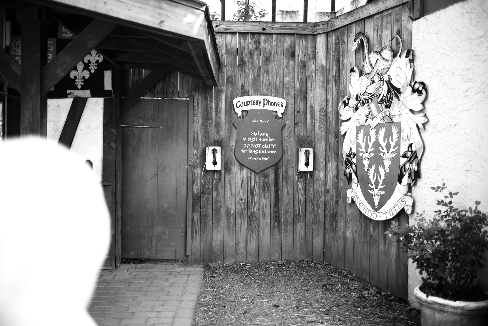 Whispers of the Past