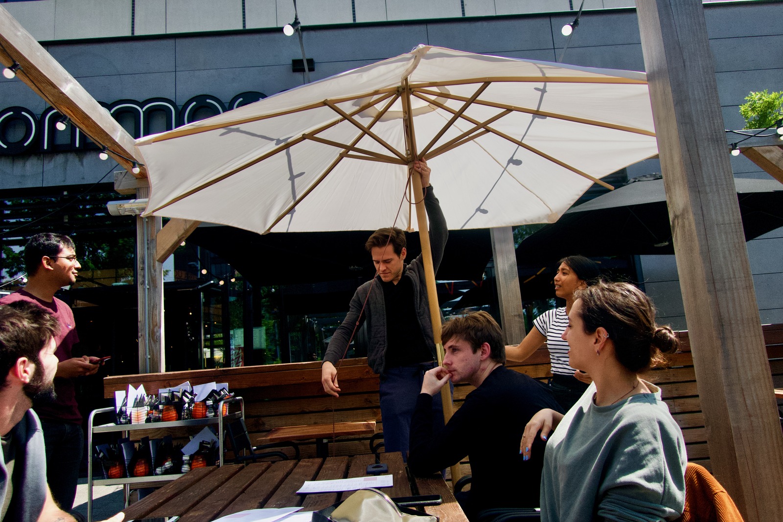 Under the Sunlit Canopy