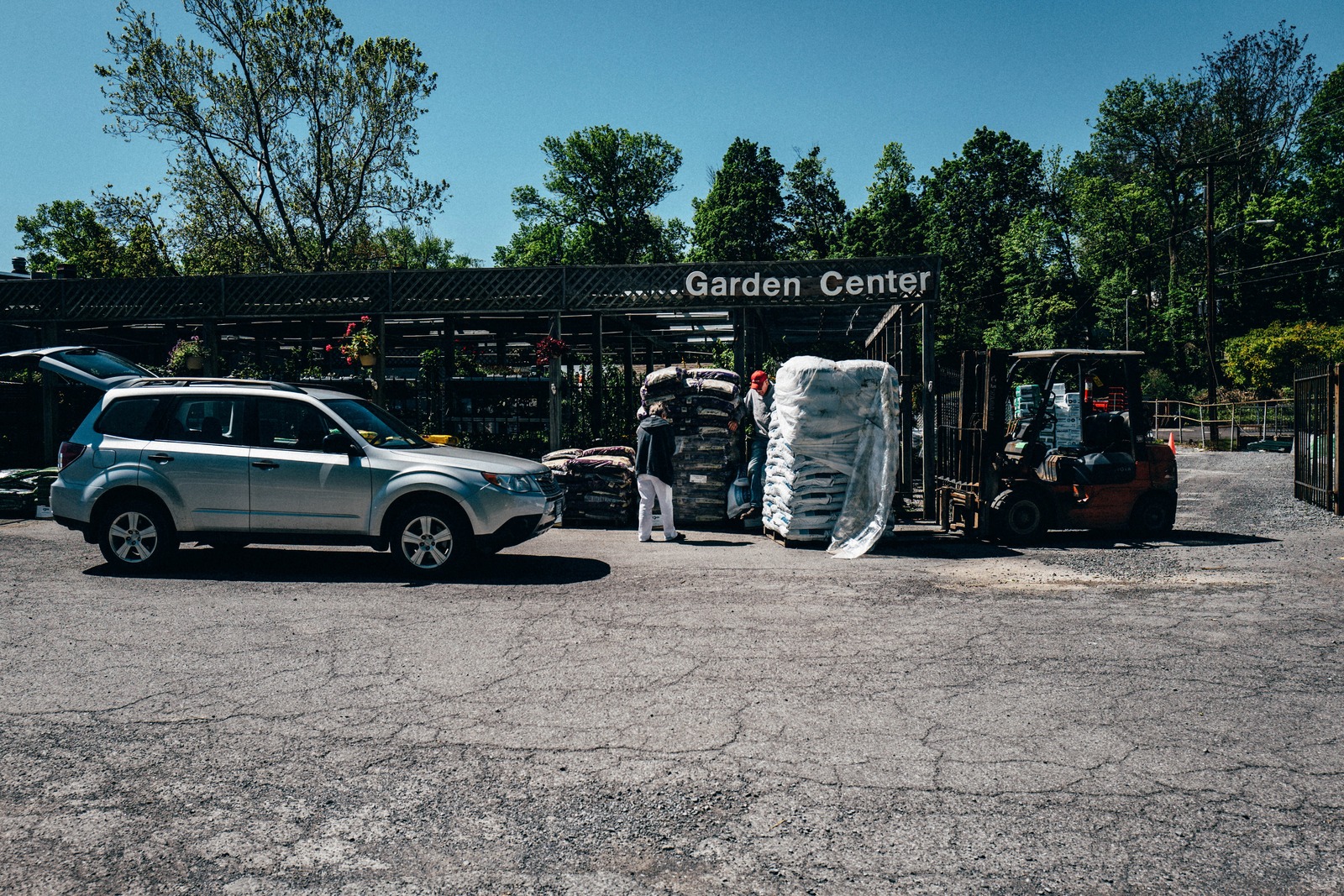 Busy Day at the Garden Center