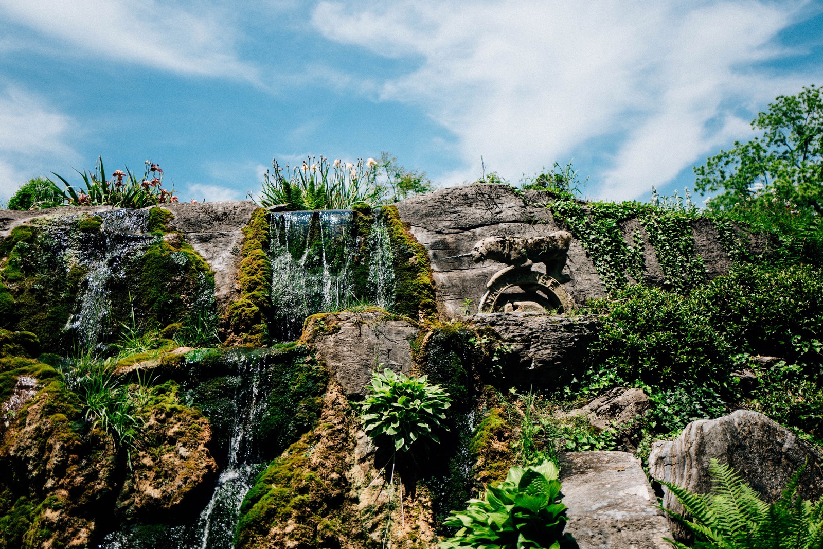 Serene Waterfall Landscape