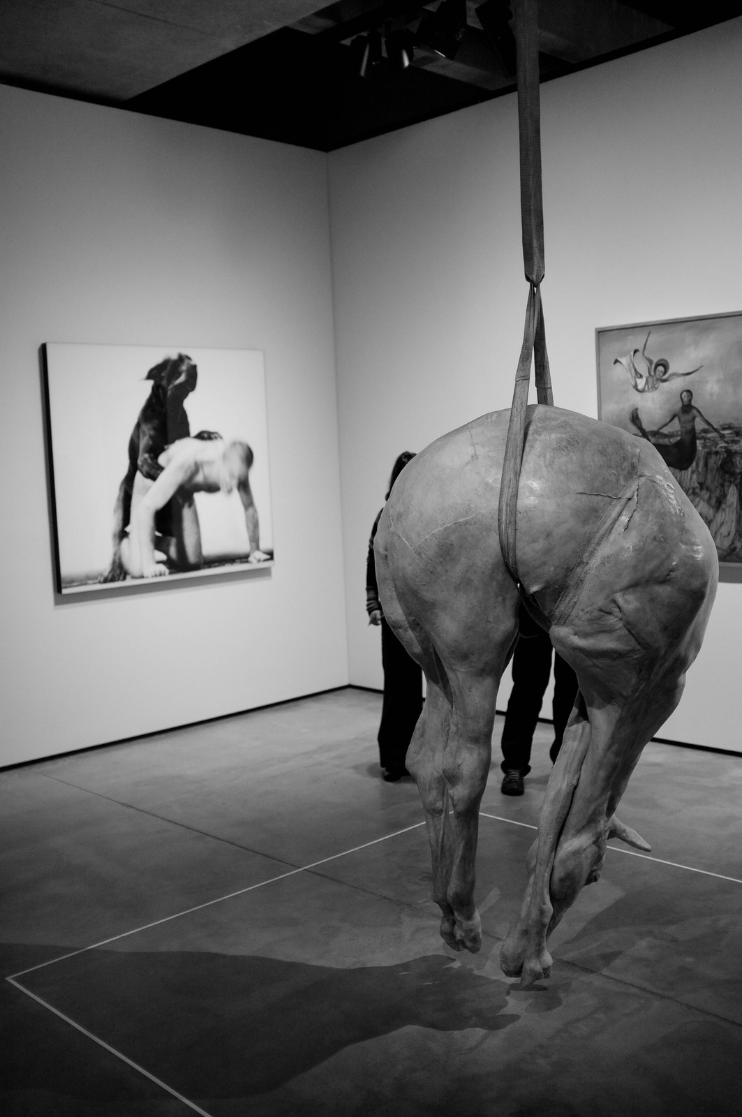 Suspended Contemplation