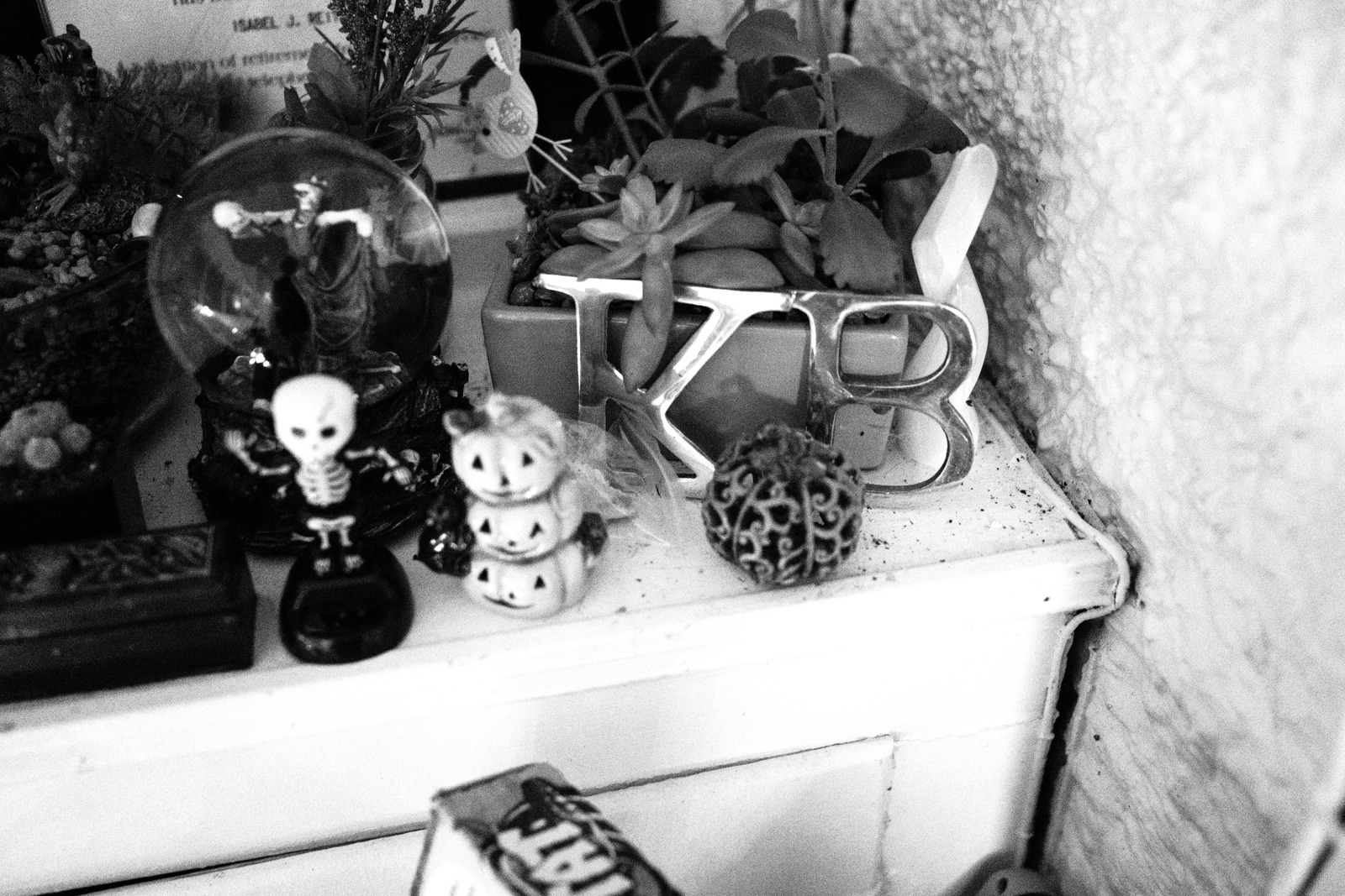 Whimsical Still Life