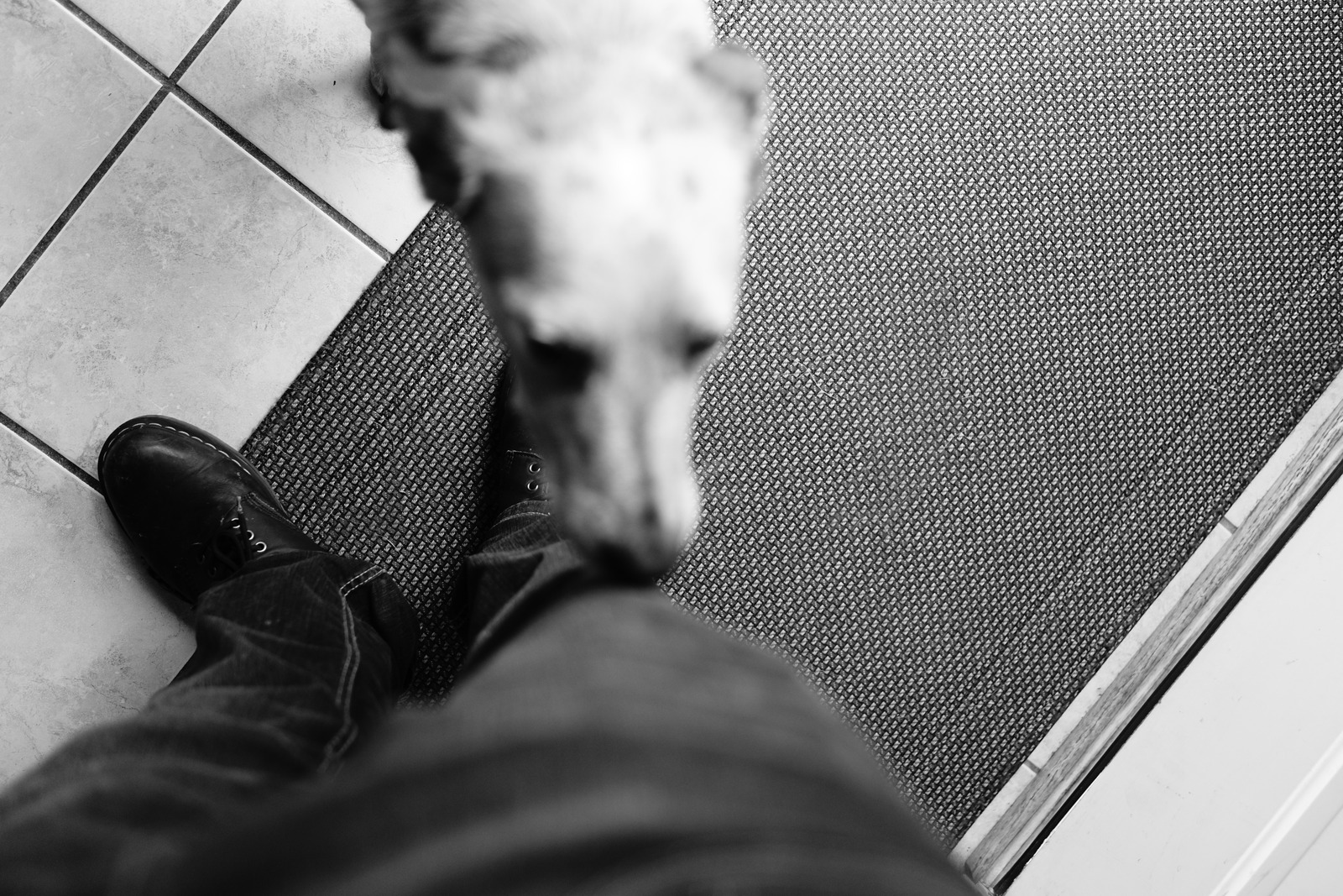 Ground-Level Greeting