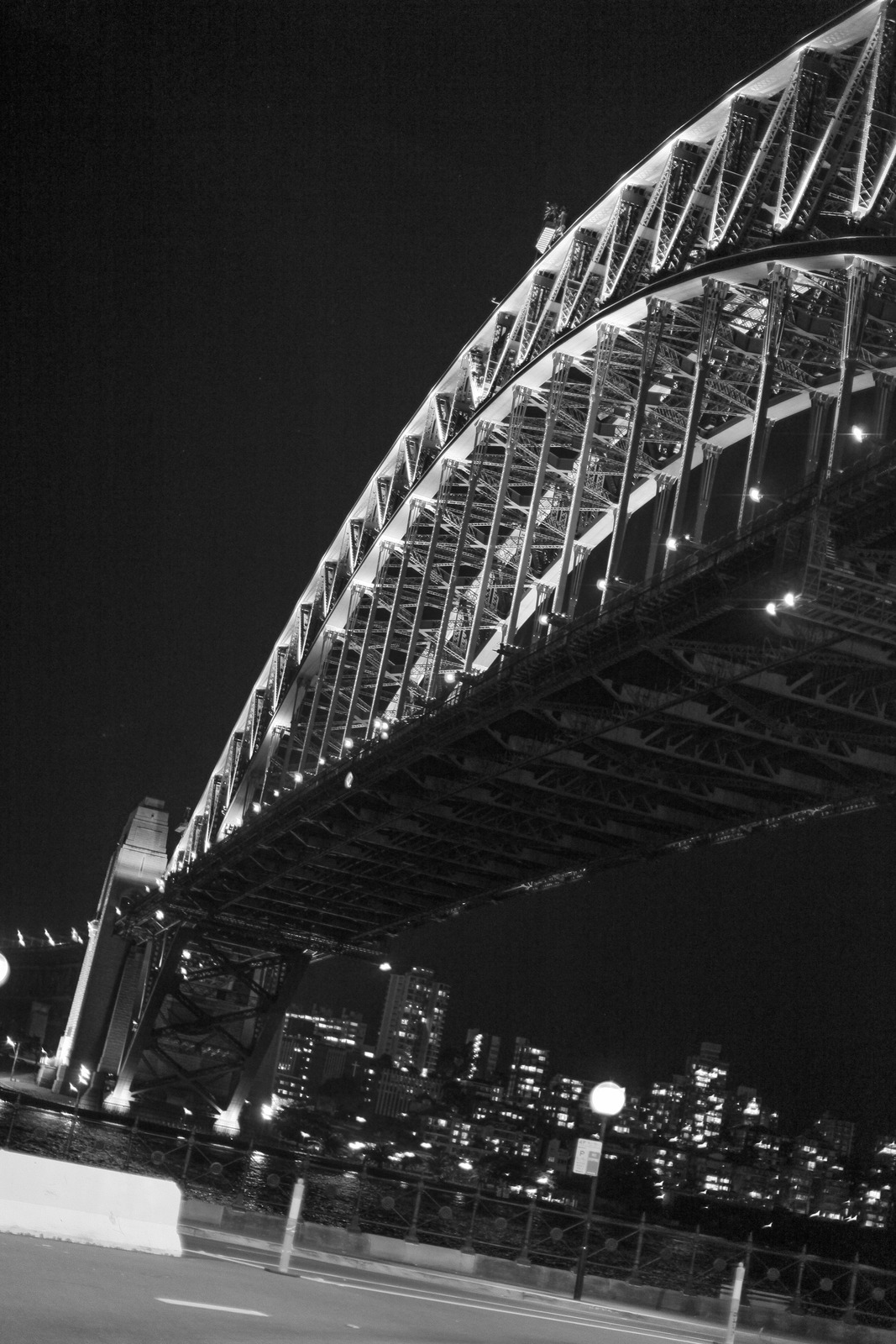 Dark Elegance of Steel