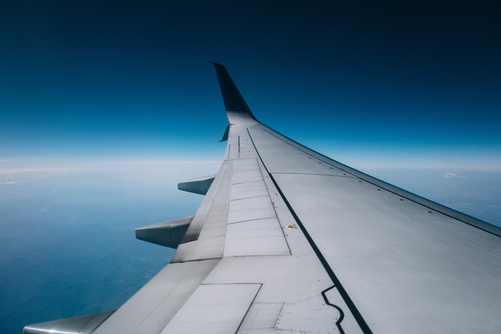 Wings Above the Clouds