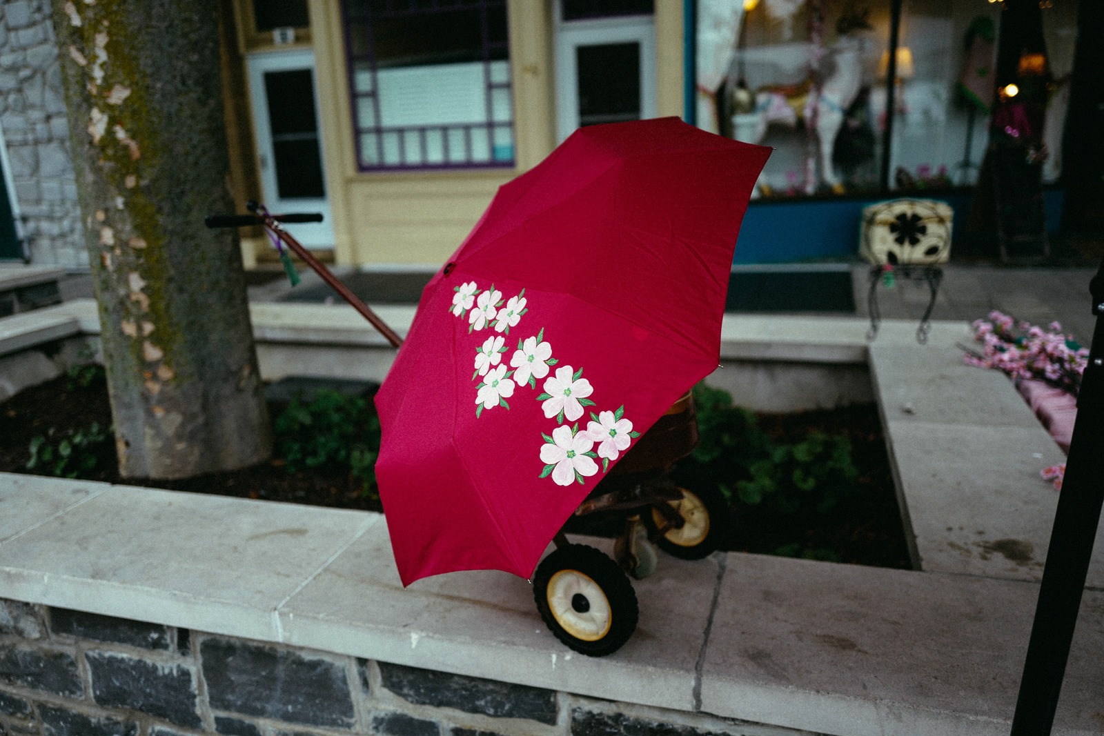 Whimsical Umbrella Display