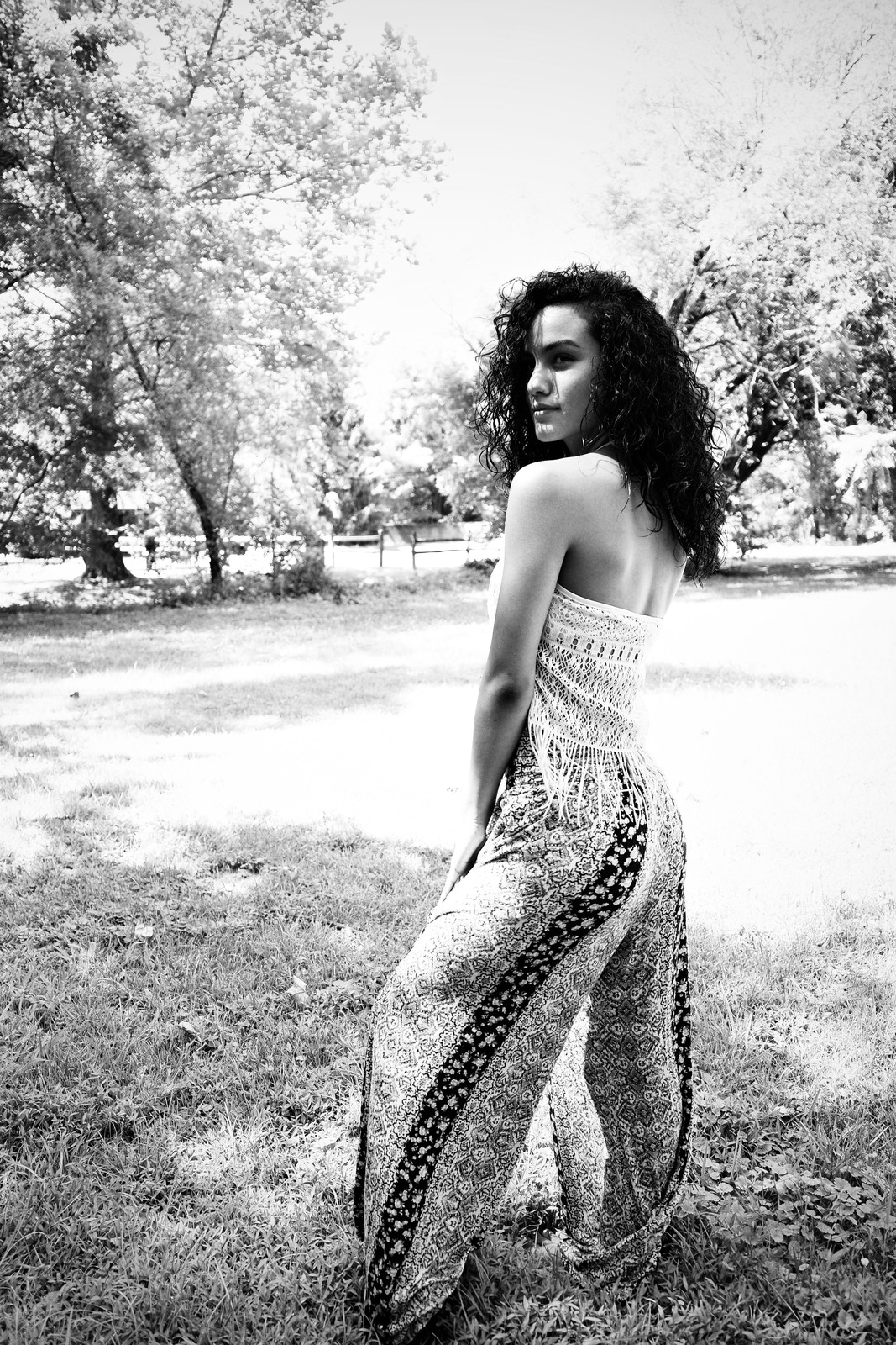 Elegance in Nature's Embrace