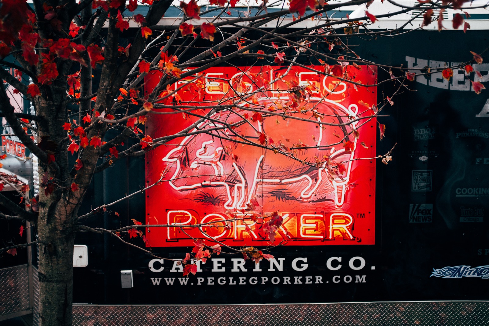 Neon Delight Among Autumn Leaves