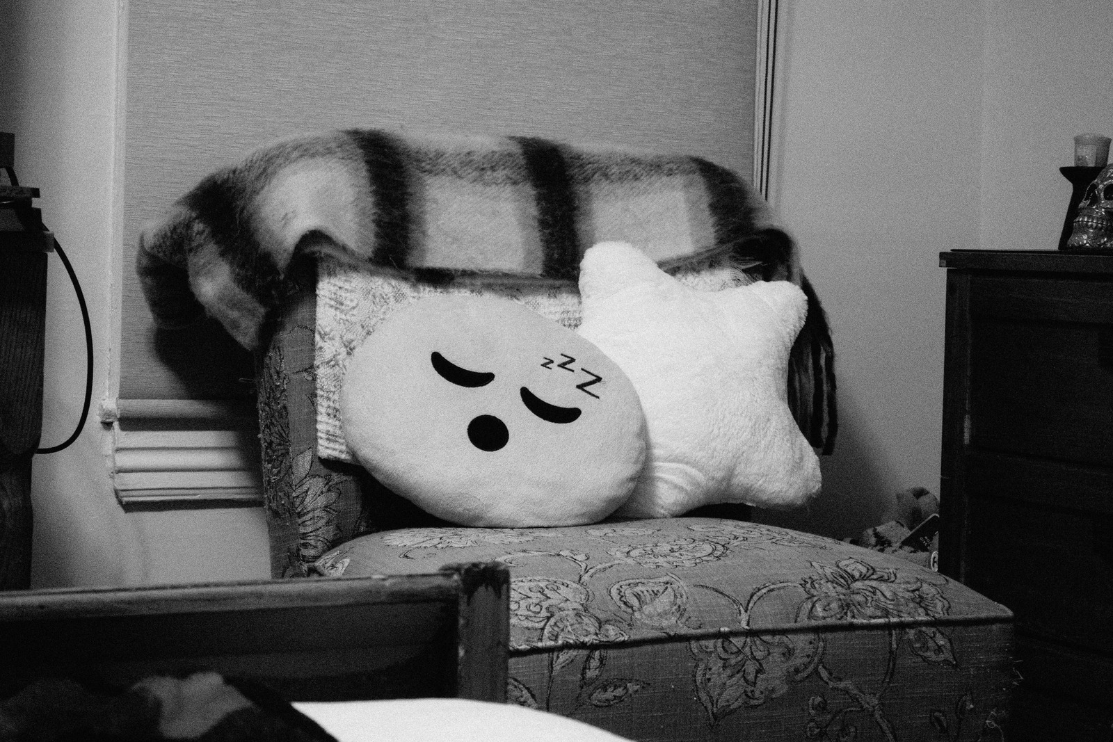 Cozy Companions in Monochrome