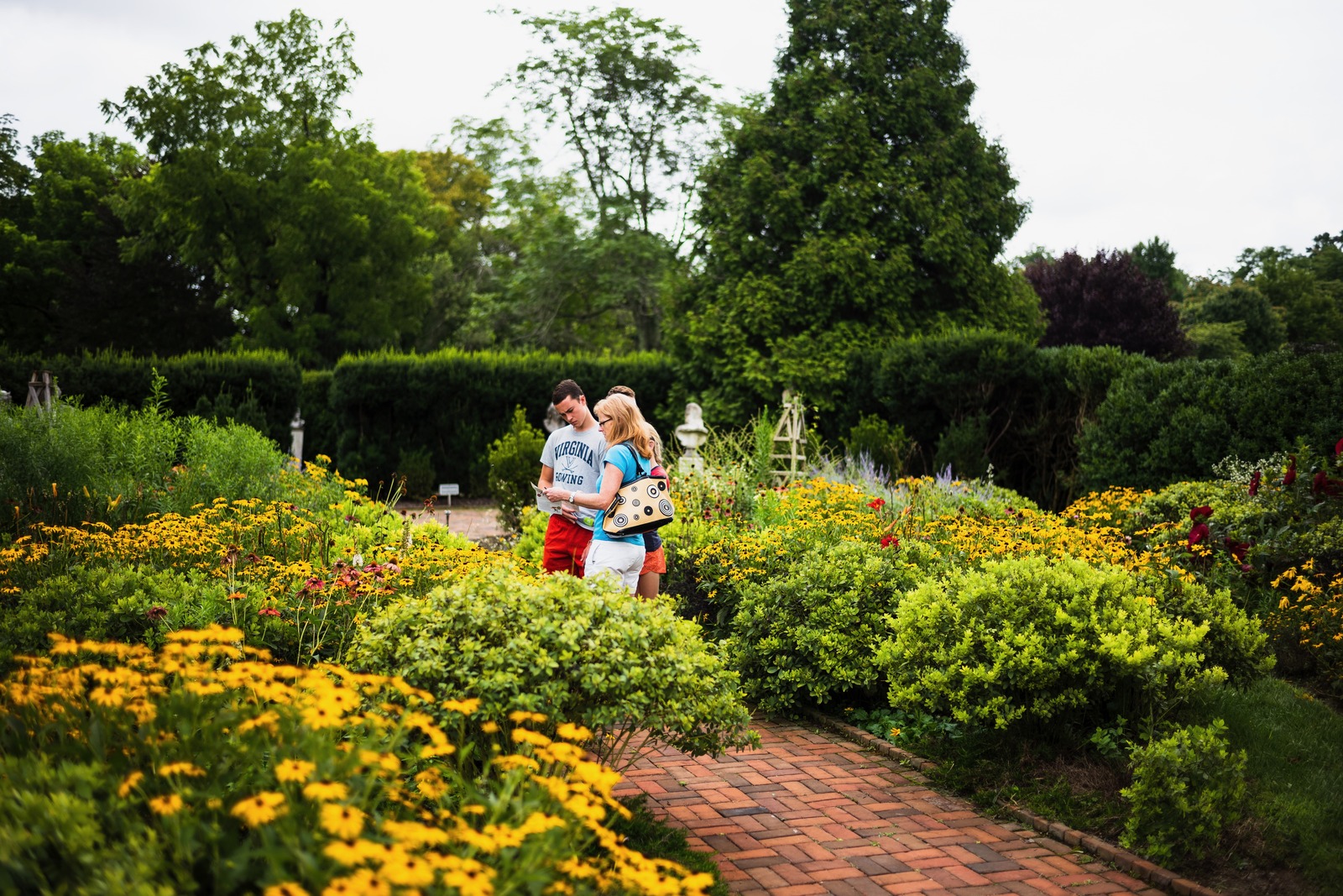 A Secret Moment in Bloom