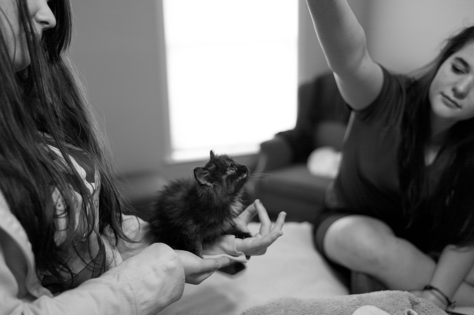 Tender Moments with a Kitten