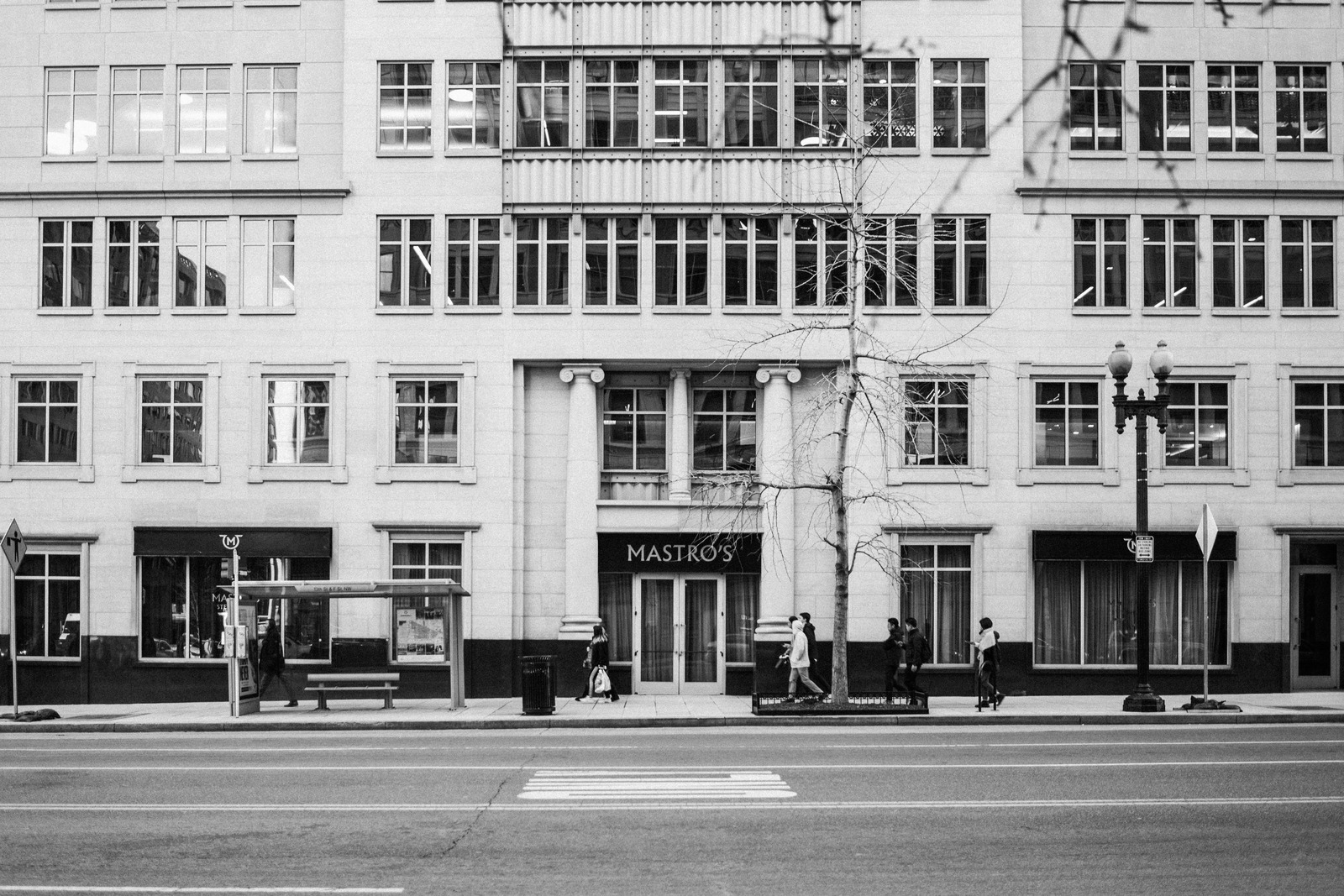 Urban Serenity in Monochrome