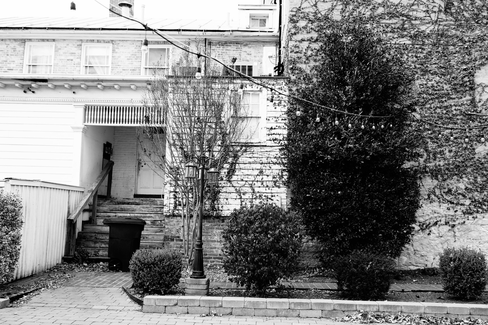 Quiet Charm of Abandonment