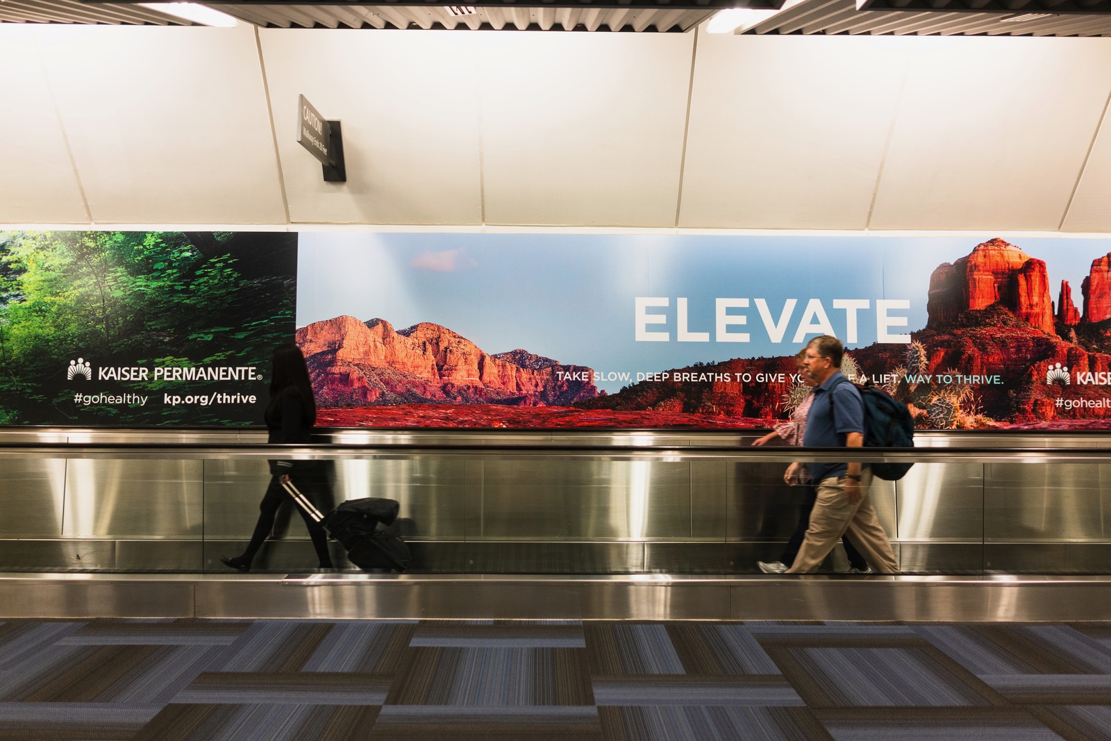 Journey Through the Terminal