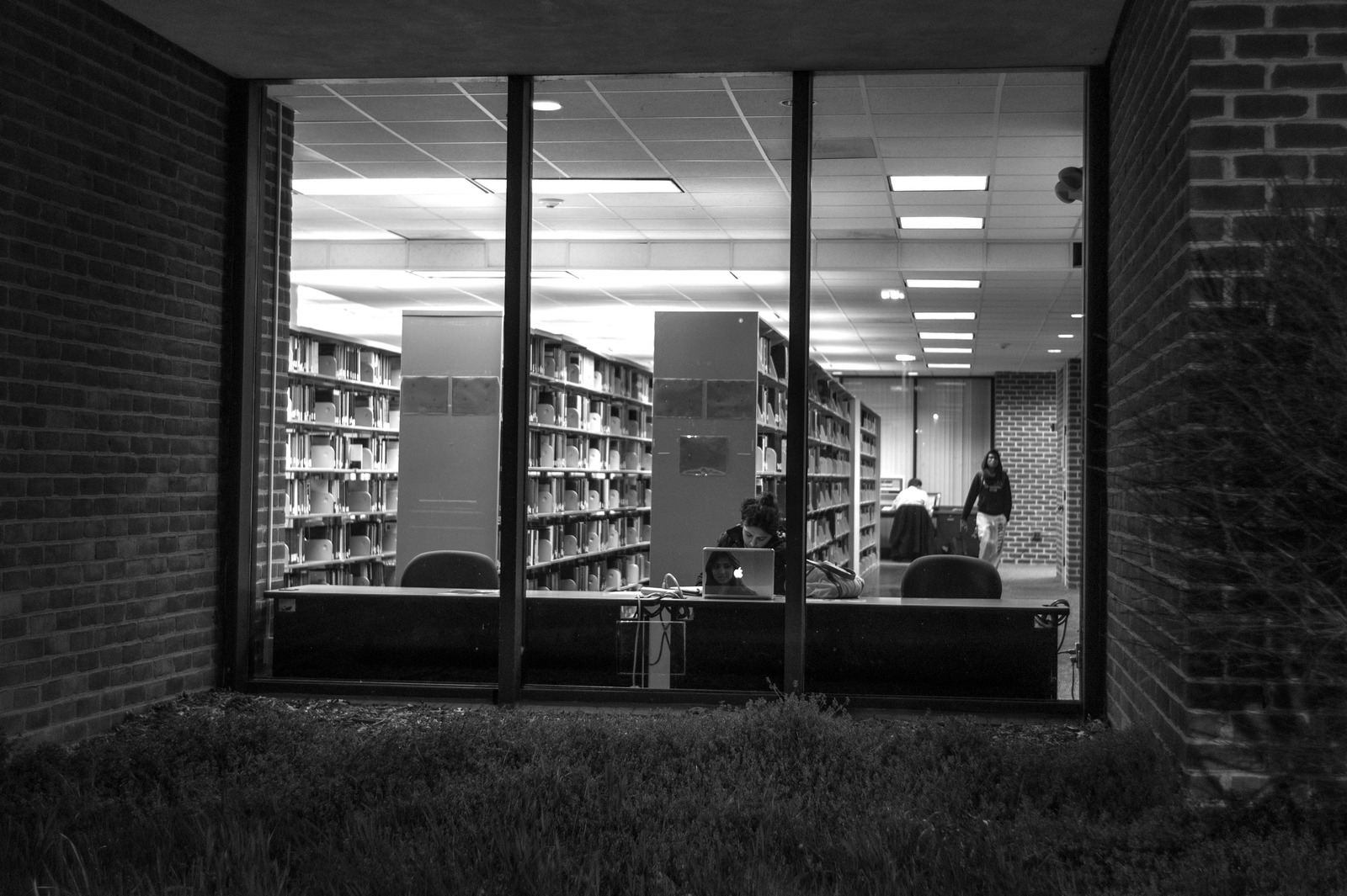 Solitude in the Stacks