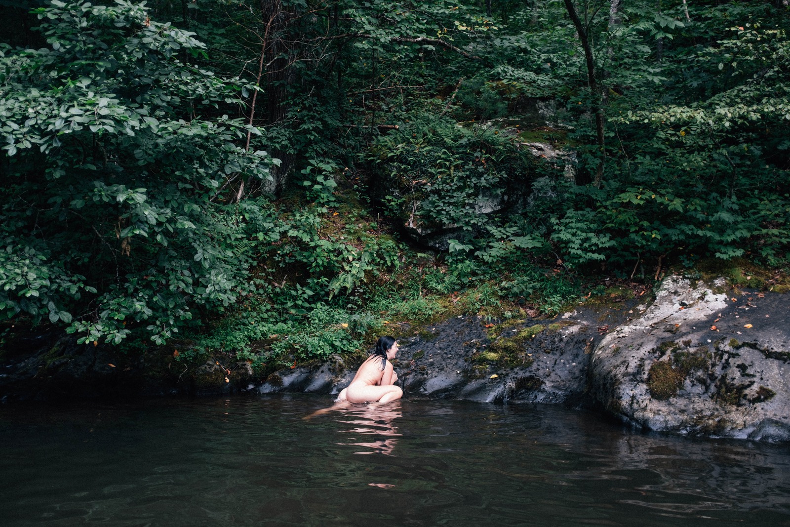 Serene Wilderness Retreat