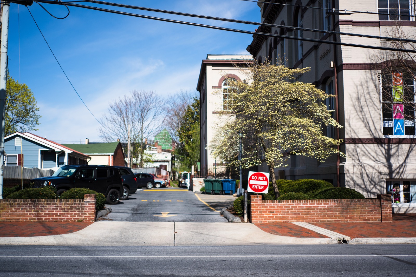 Urban Alleyway Serenity