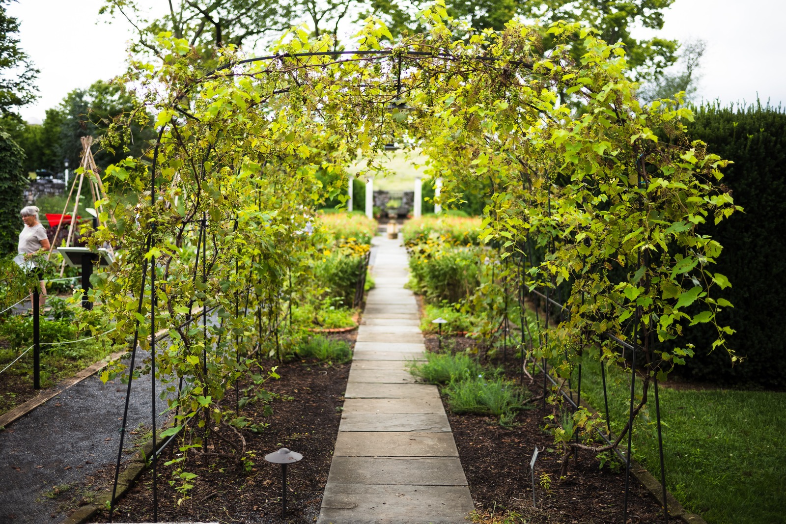 Pathway to Tranquility