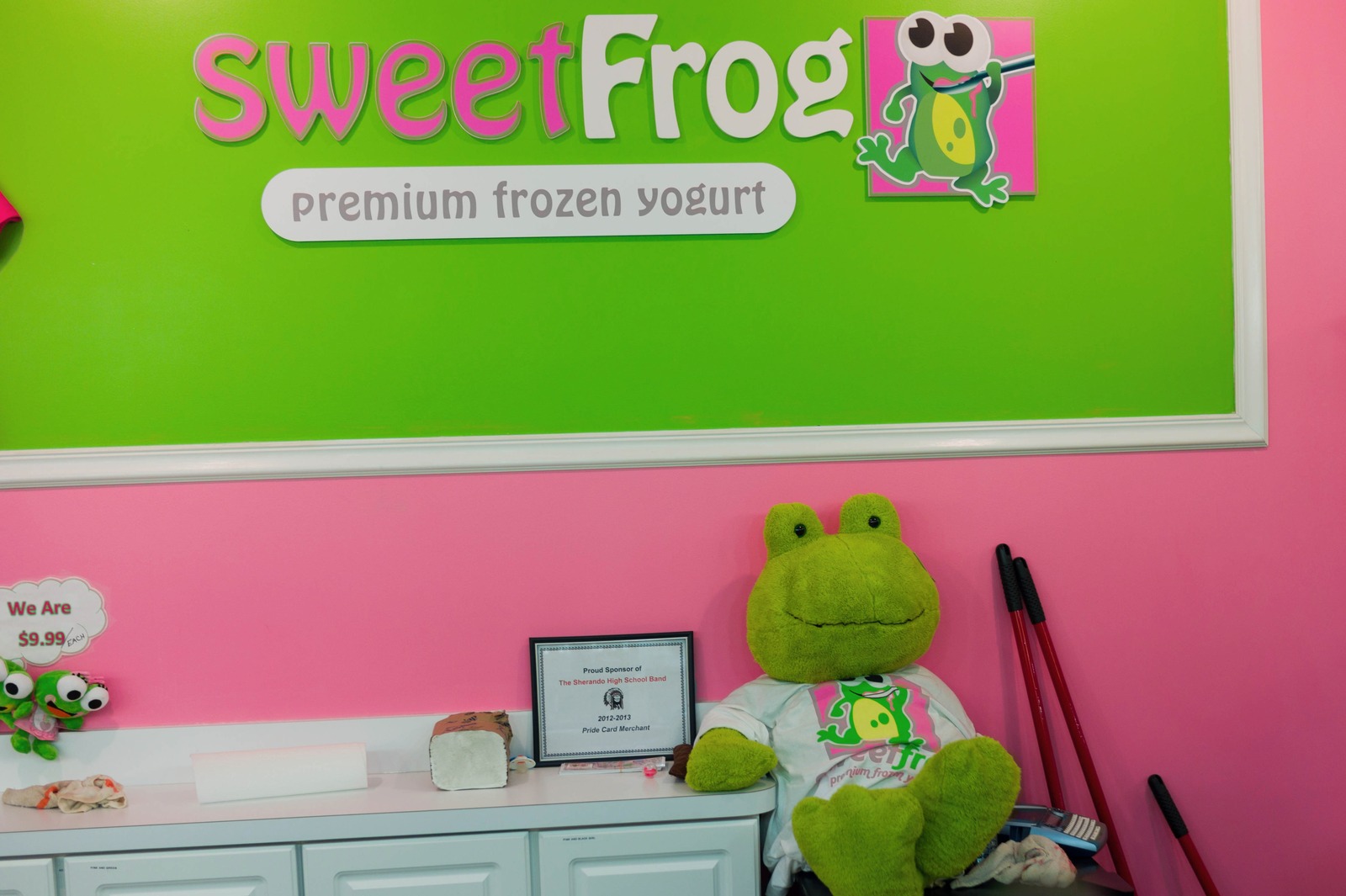 Whimsical Frozen Yogurt Vibes