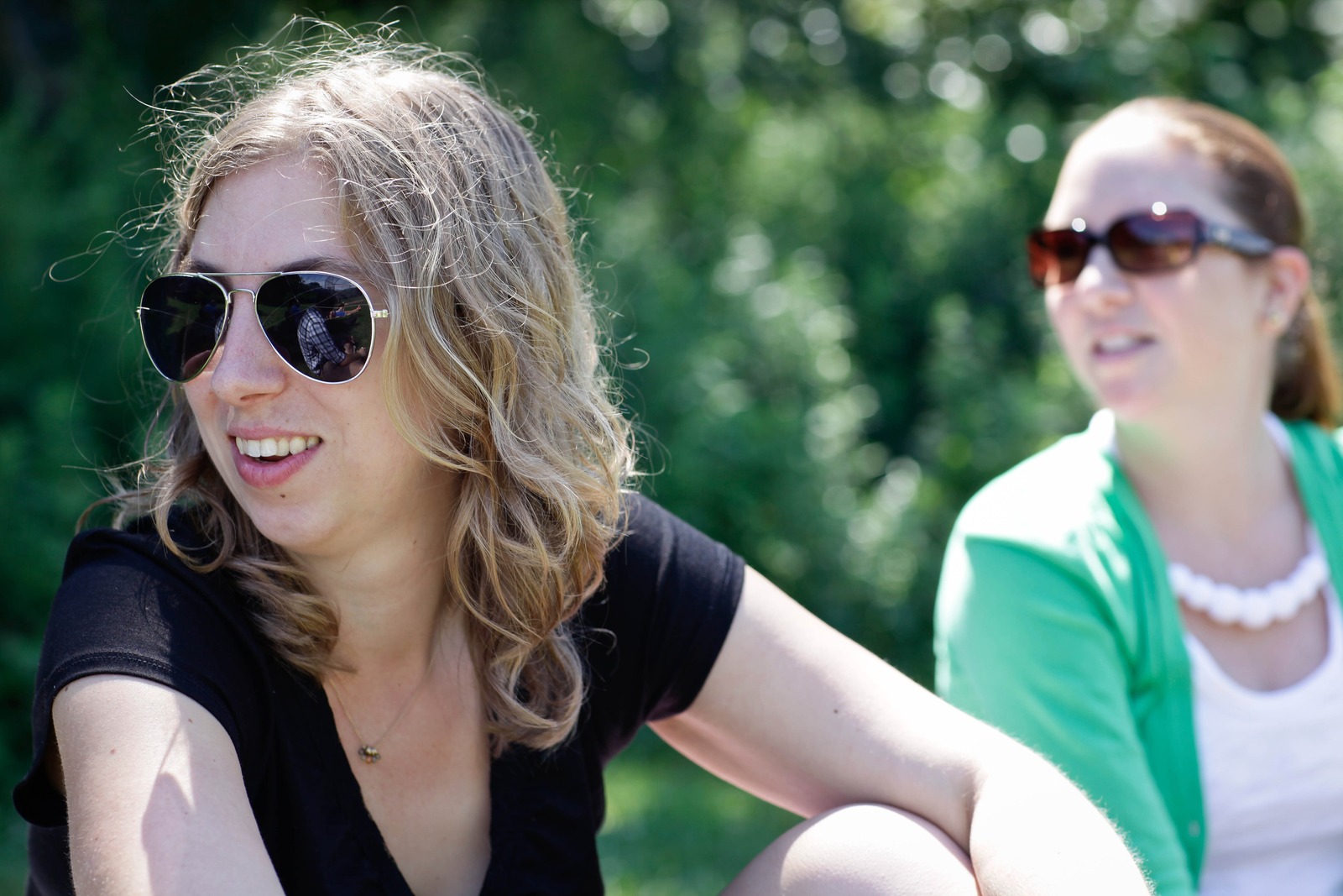 Sunny Day Reflections