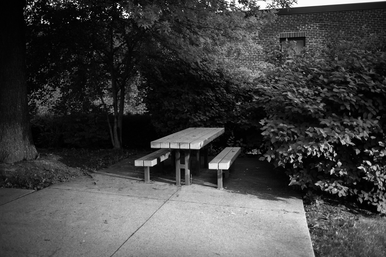 Solitary Table in Shadows