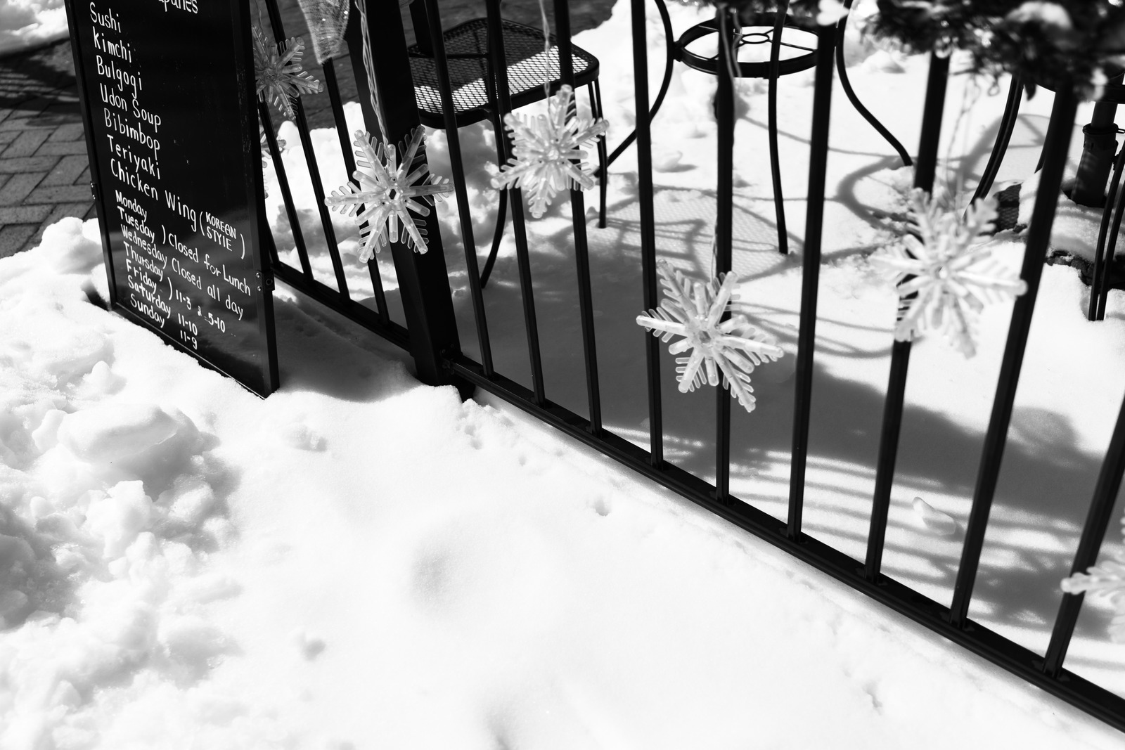 Winter's Quiet Embrace