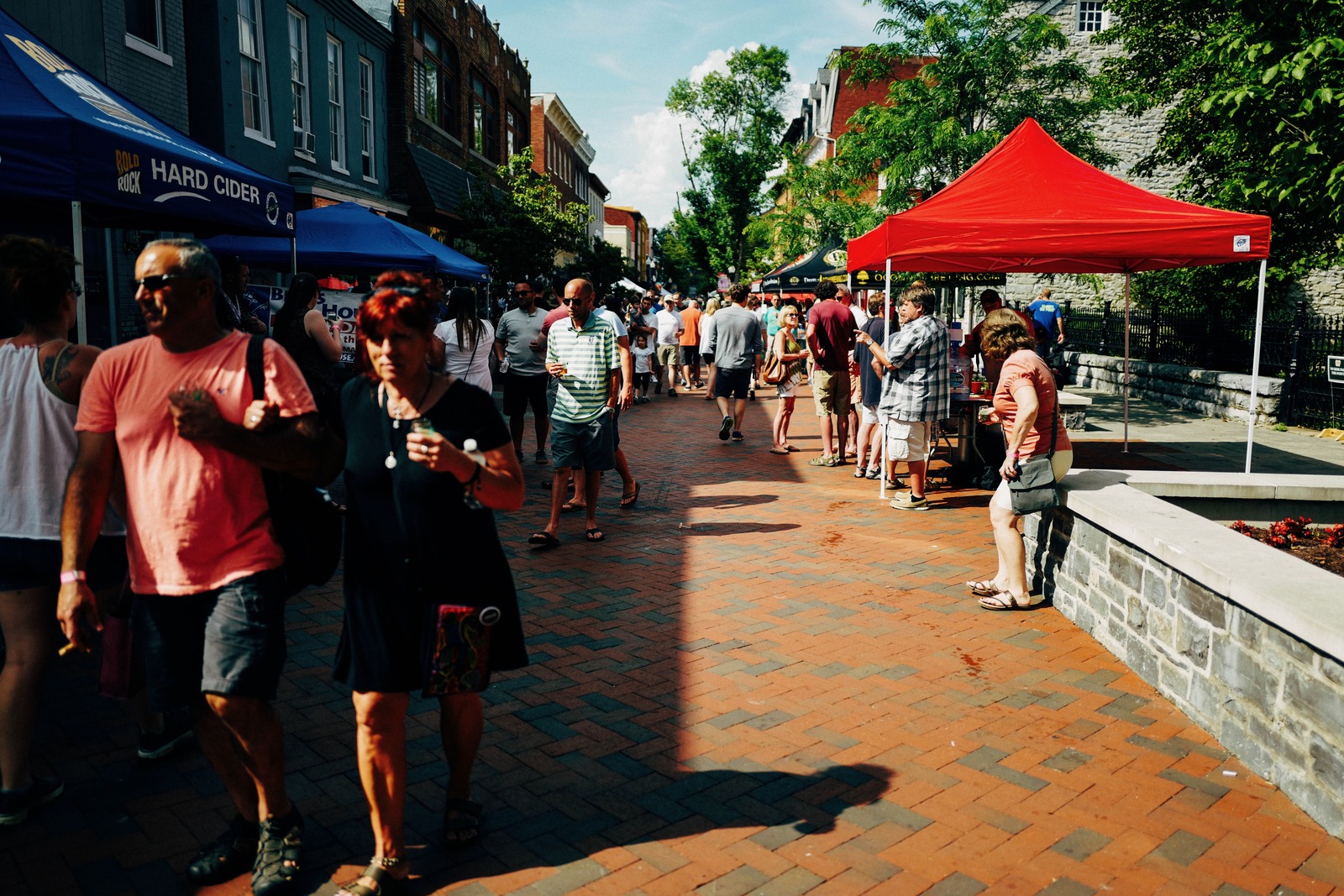 Vibrant Street Festival