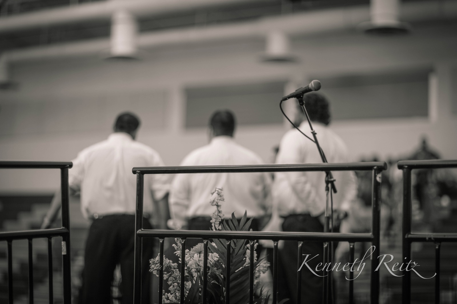 Voices in the Shadows