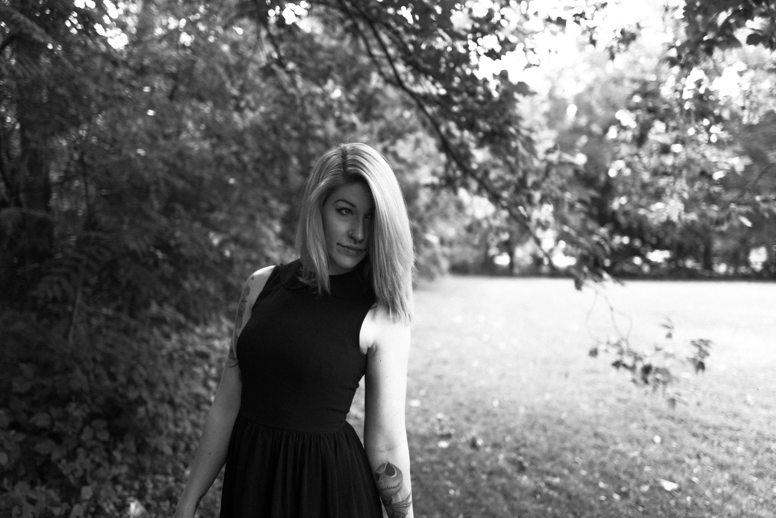 Whispers of the Forest