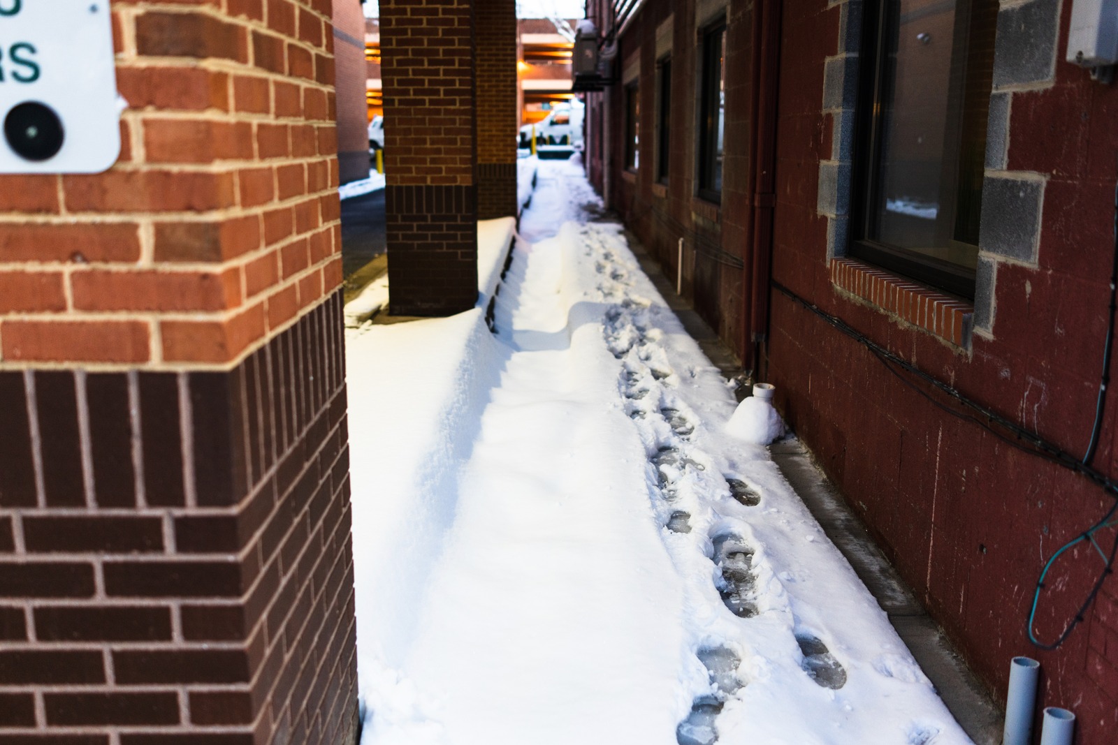 Silent Path Through The Snow
