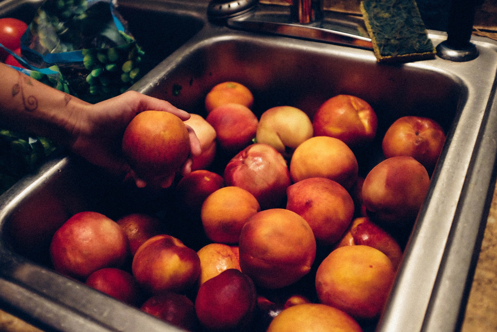 Harvest in the Sink