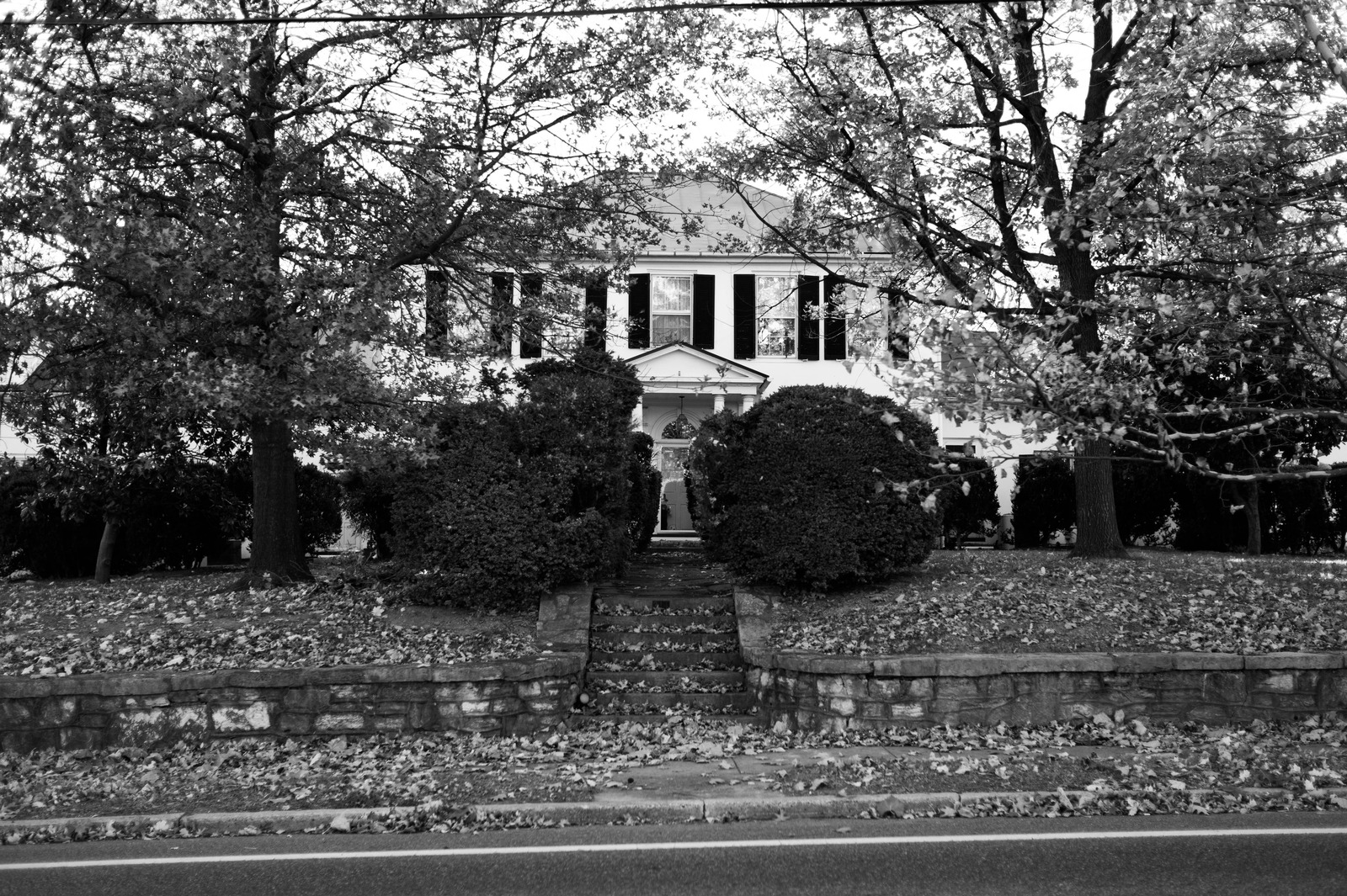 Whispers of Abandonment