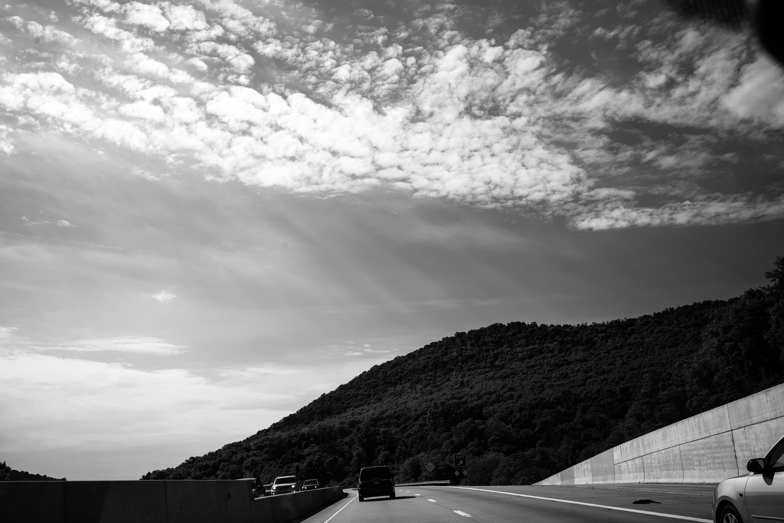 Journey Through Shadows