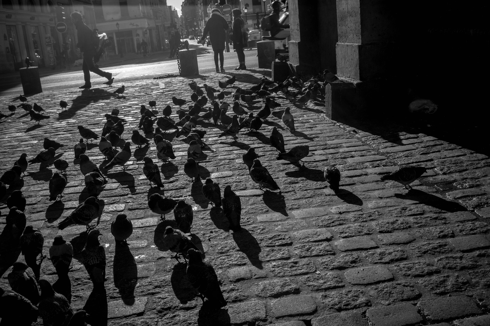 Shadows of City Life