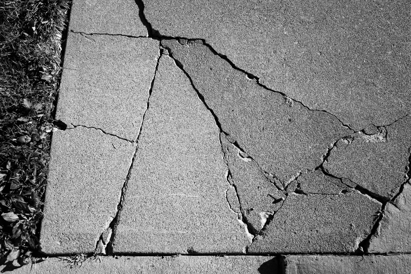 Cracked Paths