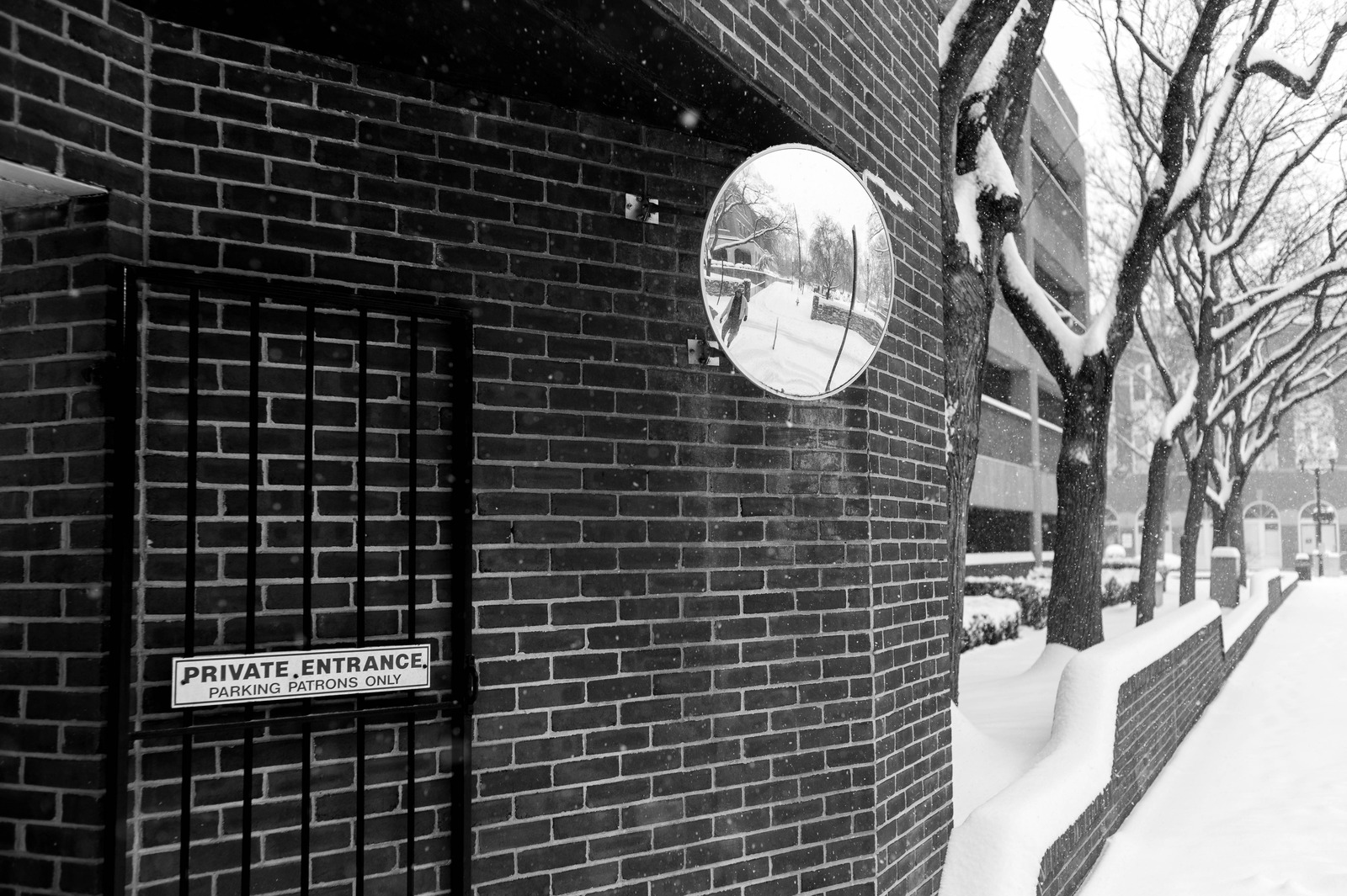 Silent Winter Reflection