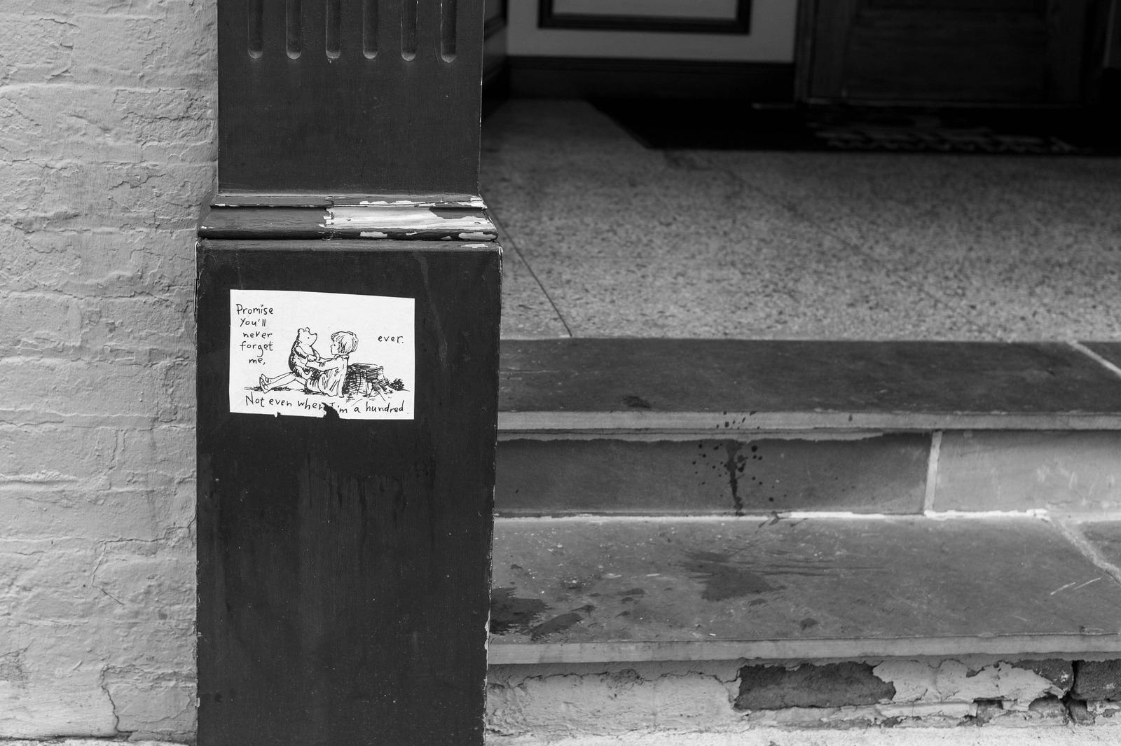 A Promise in Shadows