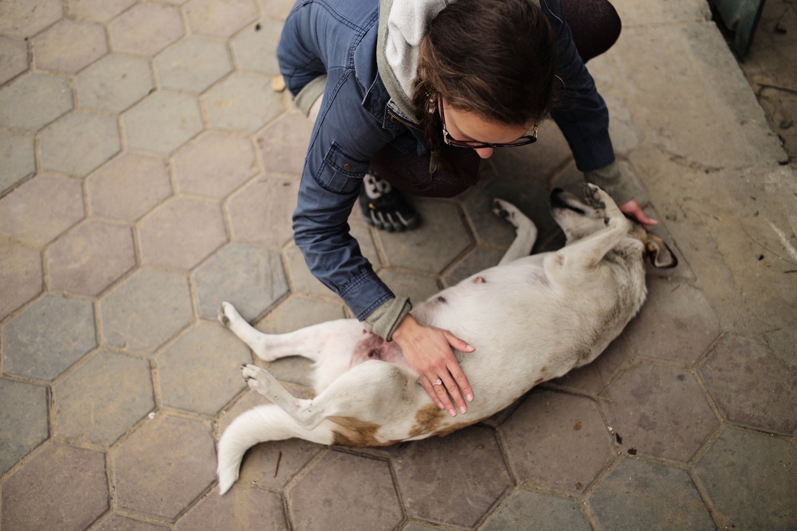 A Moment of Connection