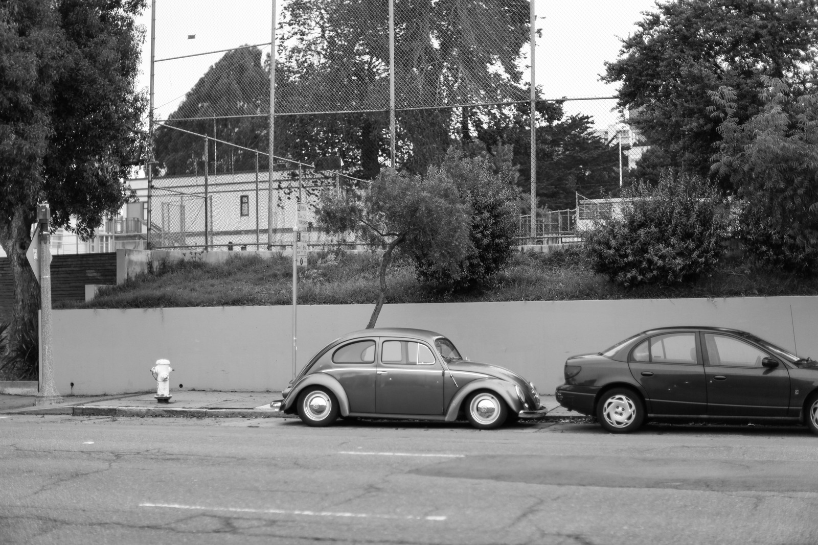 Classic Charm in Monochrome