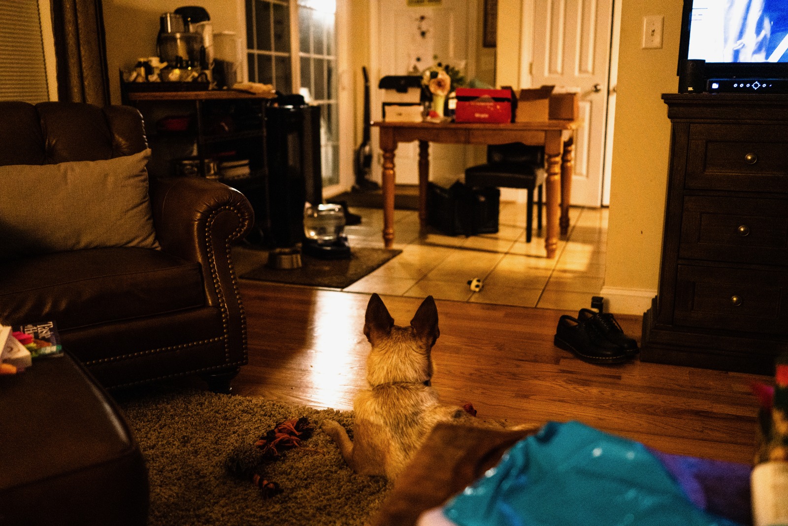 Quiet Evening Watcher