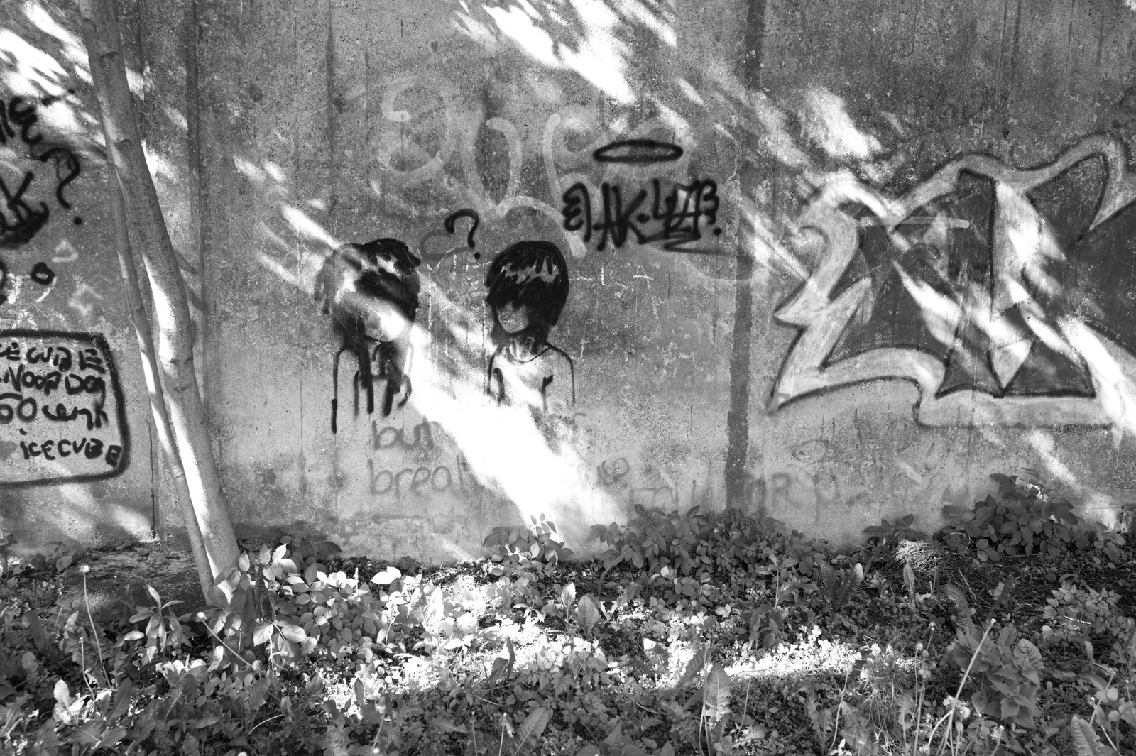 Urban Shadows and Expressions