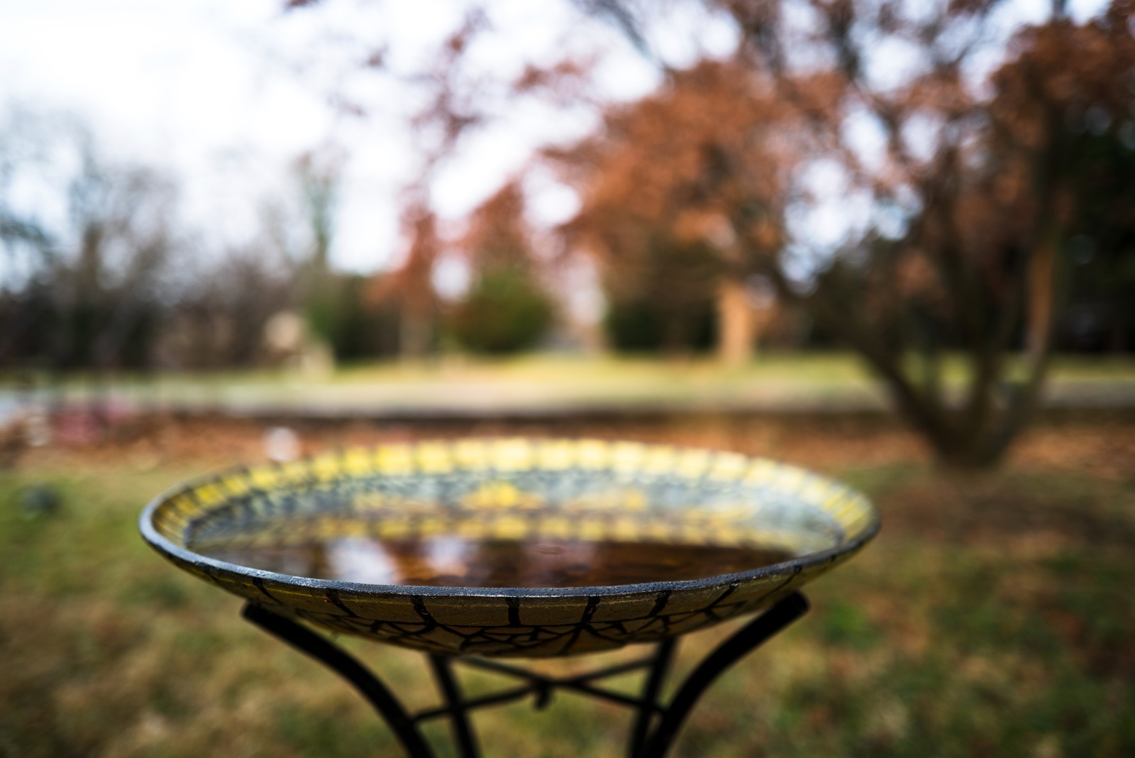 Reflections of Autumn