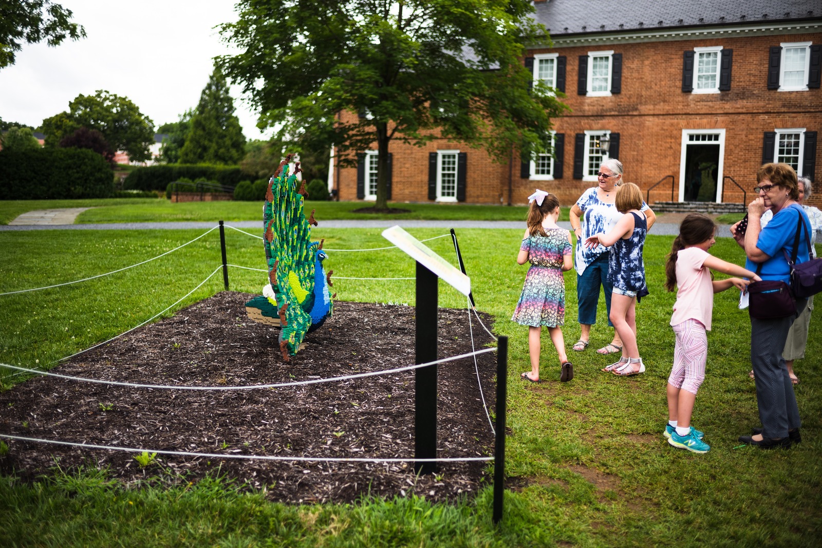 Curiosity in the Garden